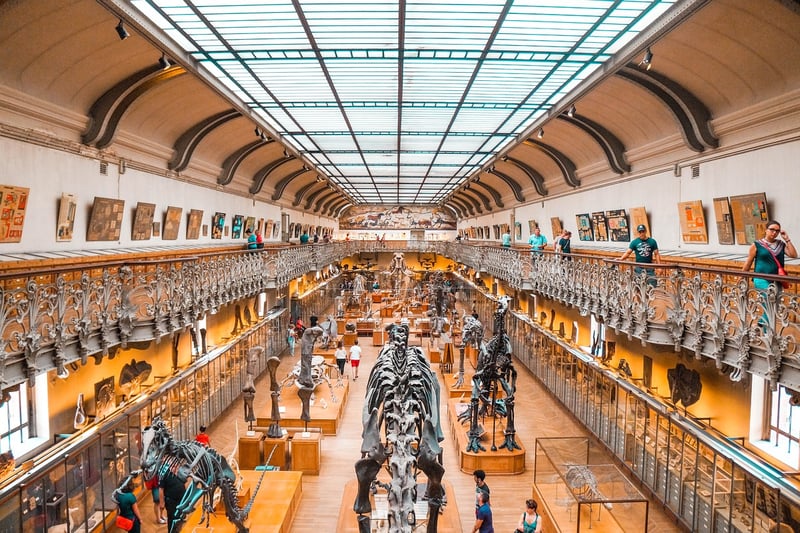 Prehistoric Worlds