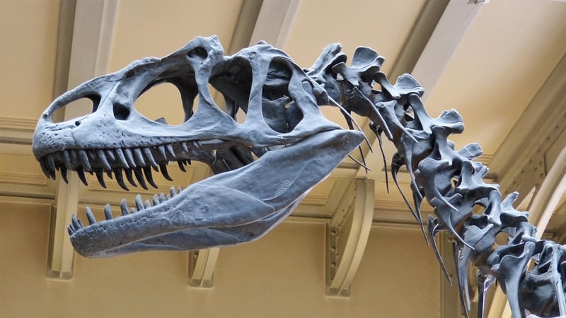 Age of Dinosaurs